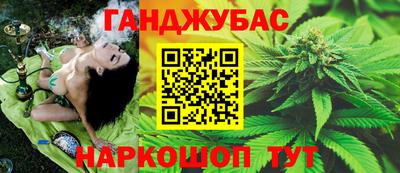 индика Краснознаменск