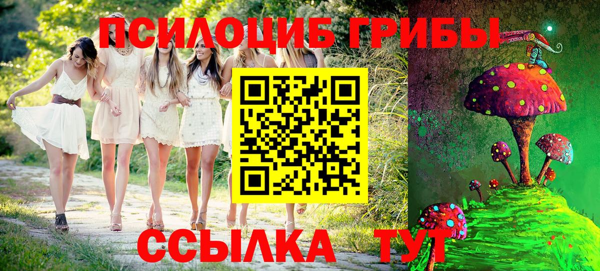 Псилоцибиновые грибы прущие грибы Кашира
