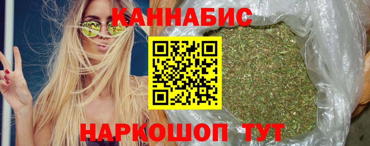 Бошки марихуана сатива Кашира